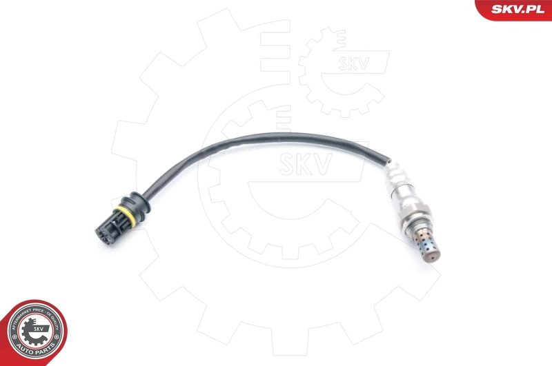 Oxygen Sensor